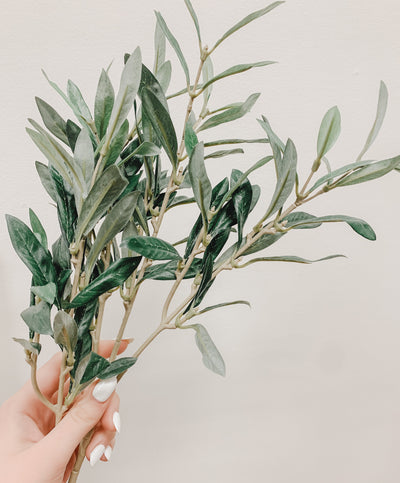Olive Branch | Faux