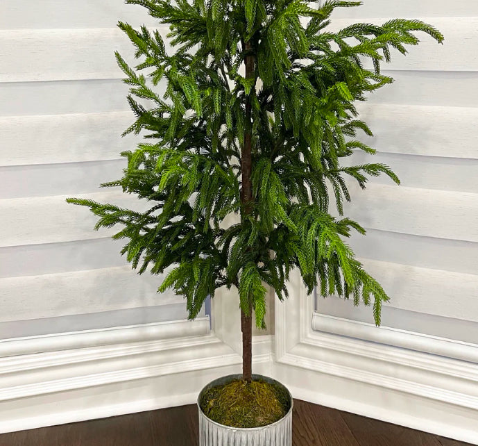 48" Fresh Touch Norfolk Pine Tree | In Metal Pot