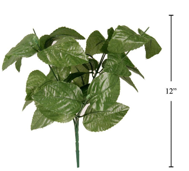 Flower Leaves | Greenery