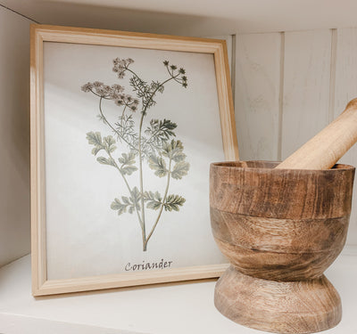 Vintage Inspired Herb Prints