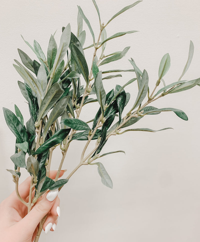 Olive Stem | 19.5"