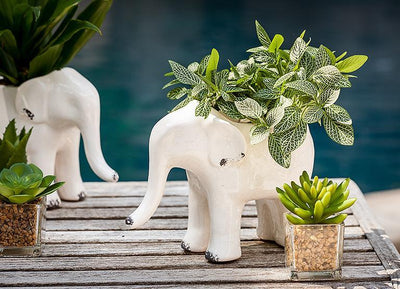 Standing Elephant Planter