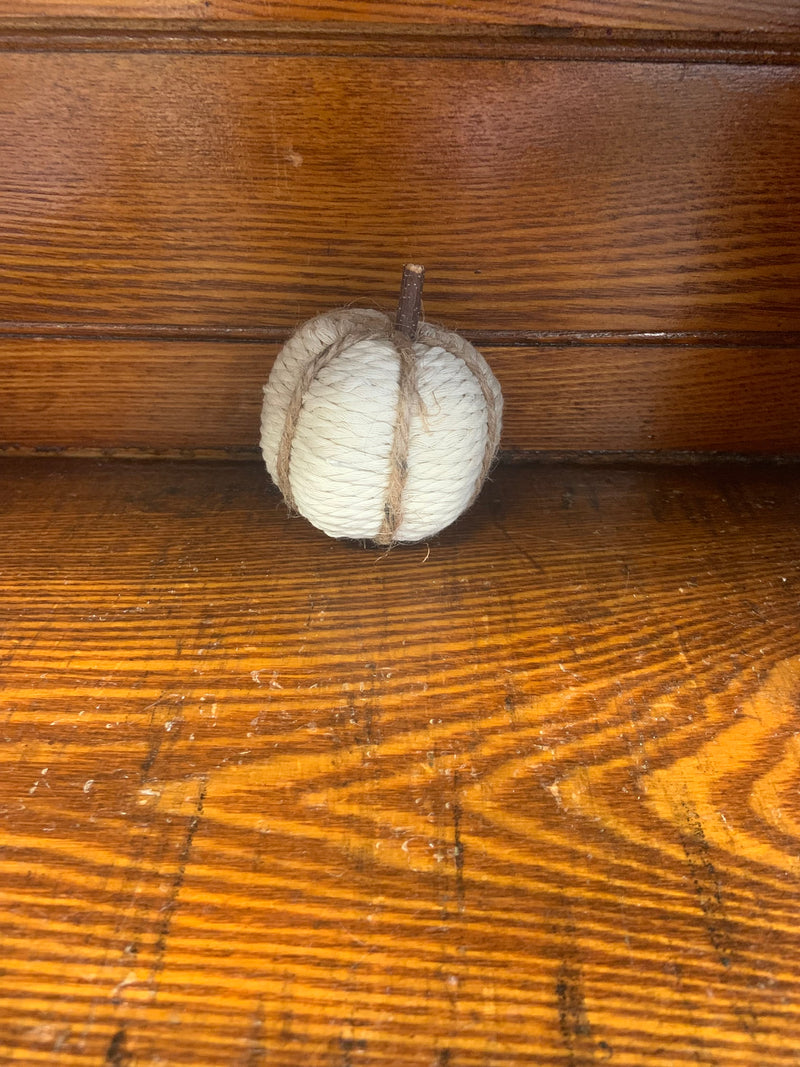 Mini Pumpkins