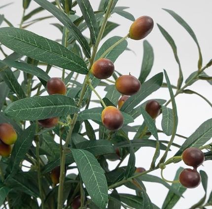 Olive Branch with Olives | 39"