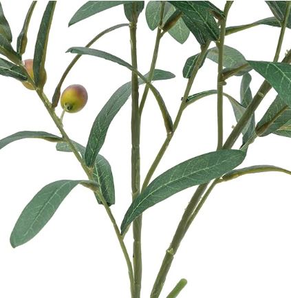 Olive Branch with Olives | 39"
