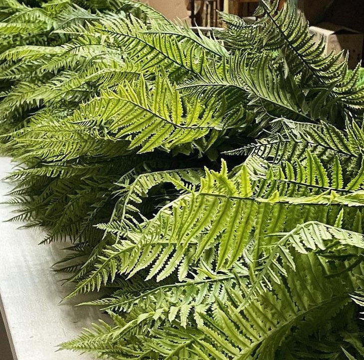 Lady Fern Bush | Faux