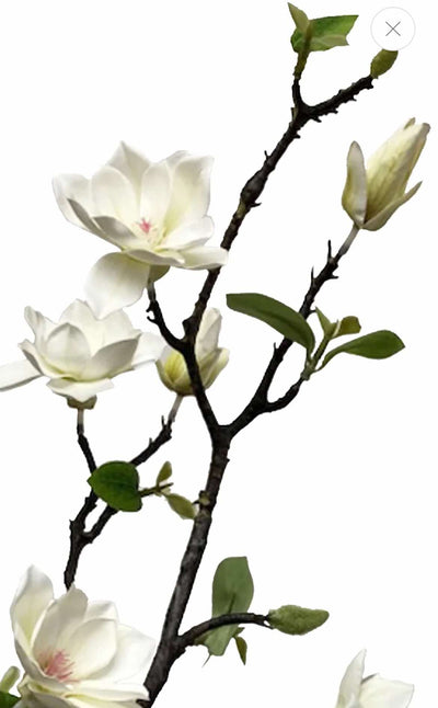 Magnolia Spray | Faux