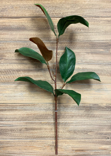 Magnolia Spray