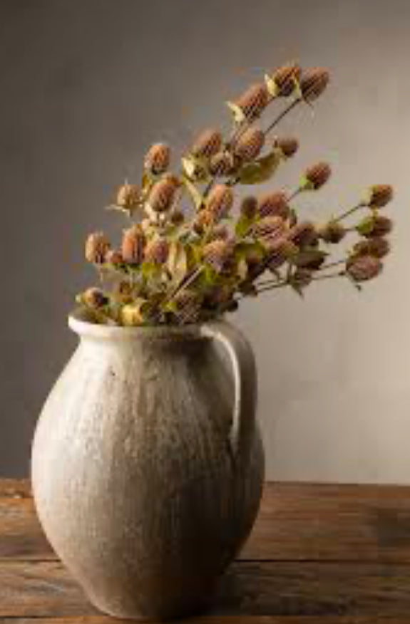 Globe Amaranth Spray