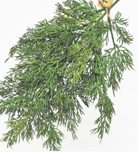 Cedar Spray