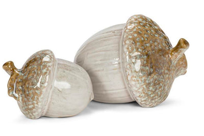 Acorn