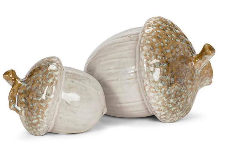 Acorn