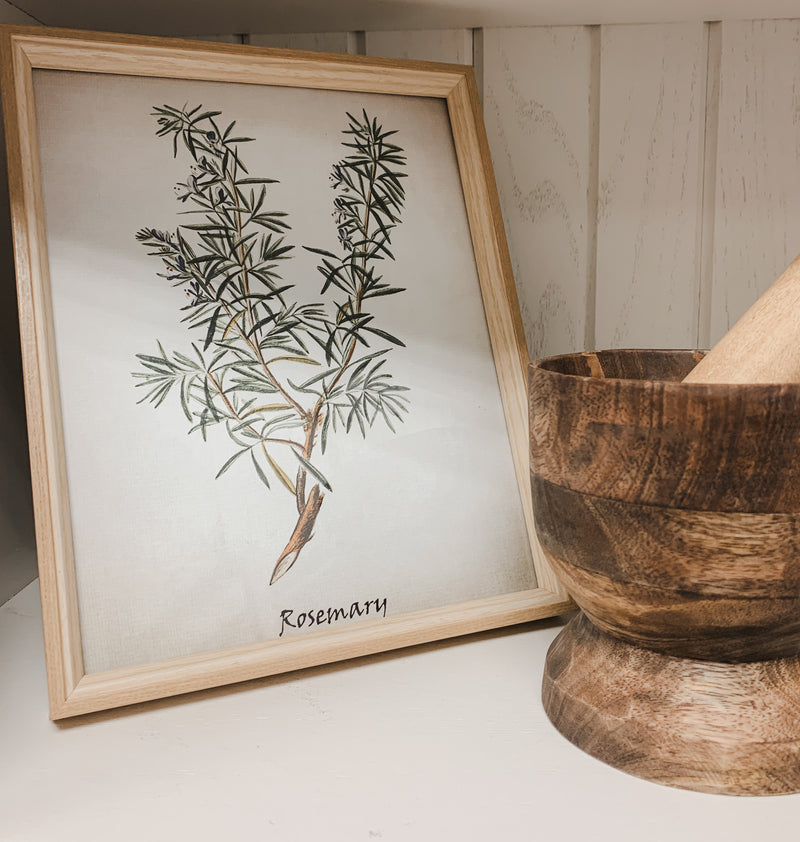 Vintage Inspired Herb Prints