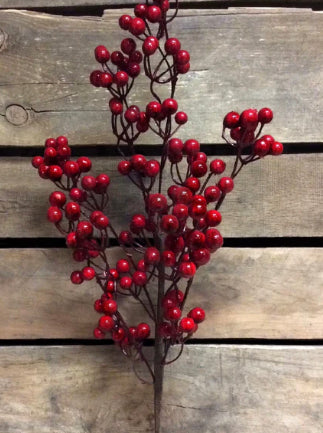 Outdoor Red Berry Spray | 24”