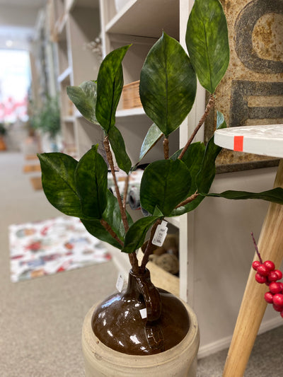 Magnolia Spray