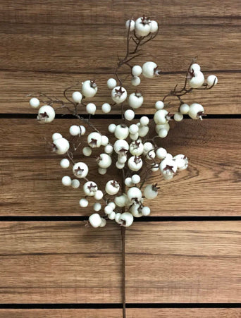 Outdoor Cream Berry Spray