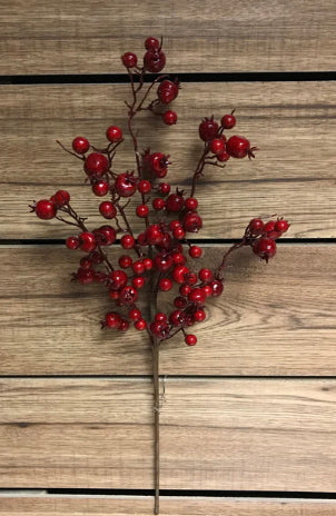 Outdoor Red Berry Spray
