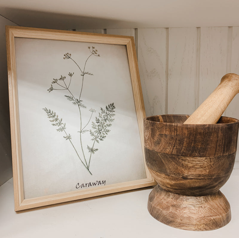 Vintage Inspired Herb Prints