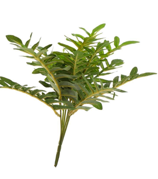 Leafy Greenery