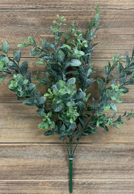Frosted Green Eucalyptus Leaves Bush