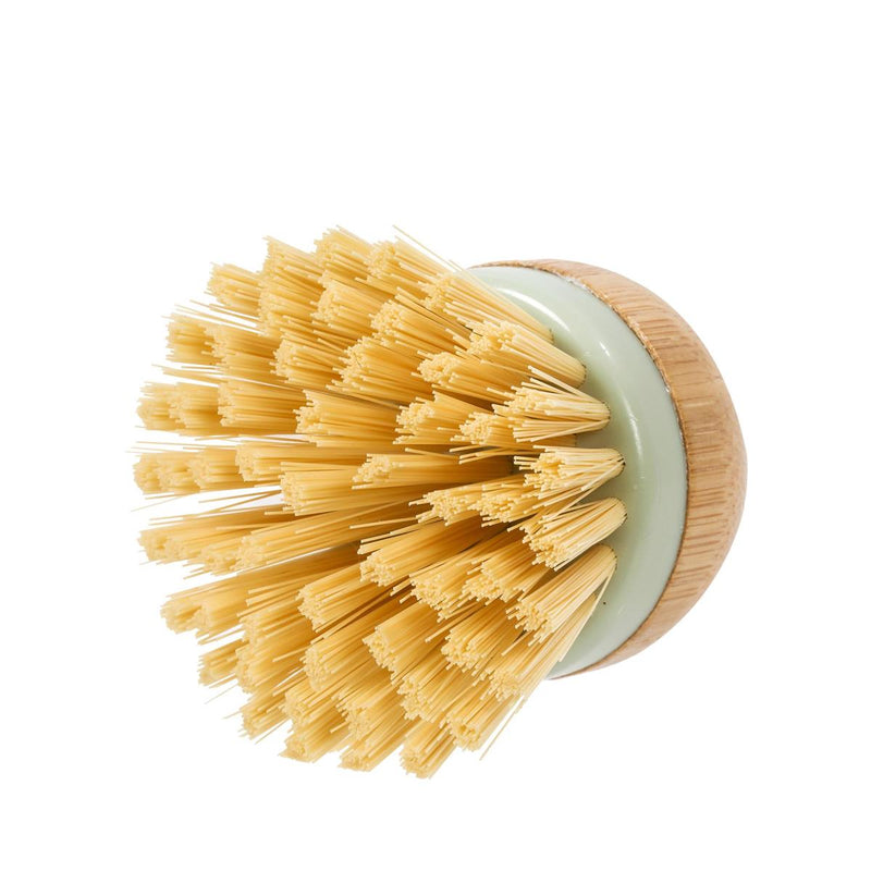 Bamboo Dish Brush with Handle