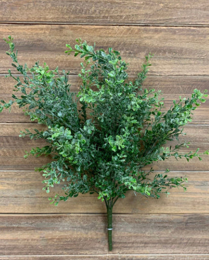 Glittered Eucalyptus Bush