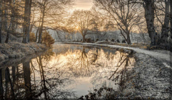 Frosty Morning