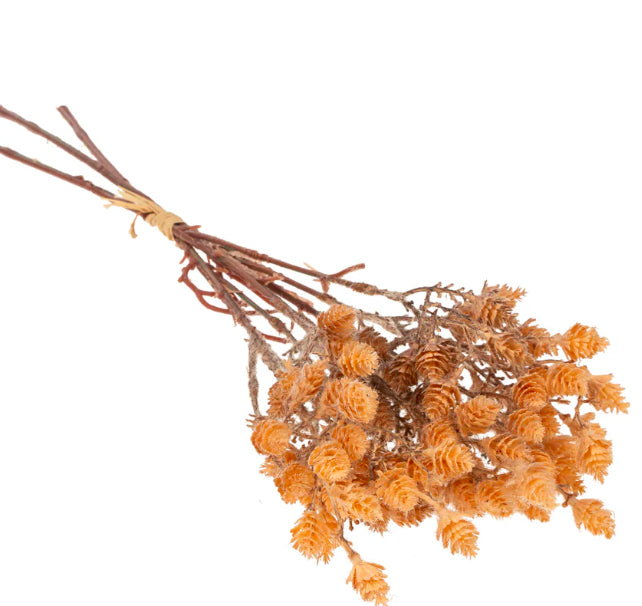 Wild Grass Bundle | Light Brown