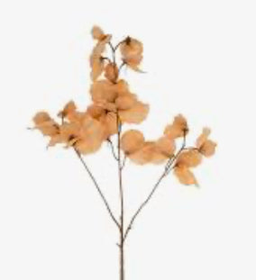 Sweet Pea Floral Stem