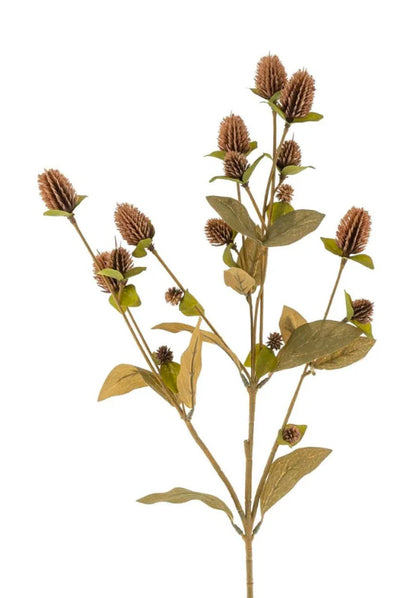 Globe Amaranth Spray