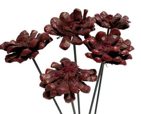 Pinar Flower on Stem | Burgundy