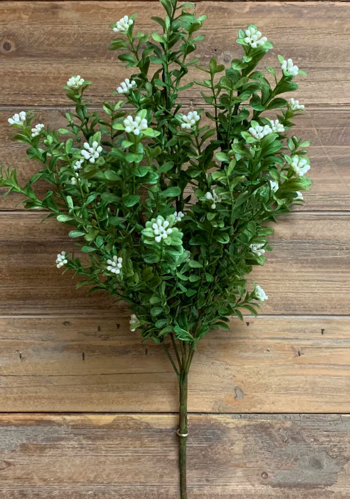Modern Boxwood Bush | 18”