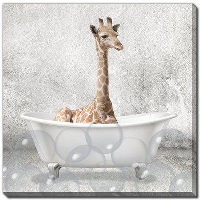 Baby Animal Bath Collection