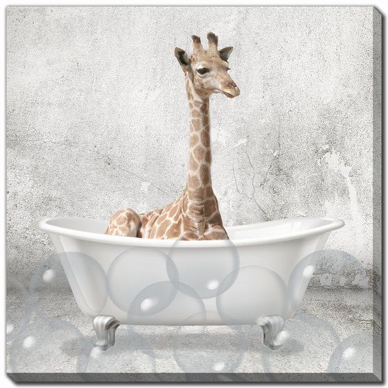 Baby Animal Bath Collection