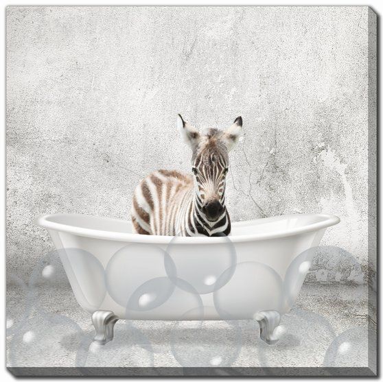 Baby Animal Bath Collection