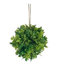 Boxwood Ball | 7"