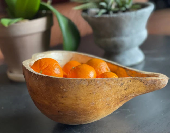 Vintage Gourd Water Ladle,