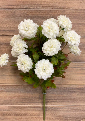 Zinnia Bush