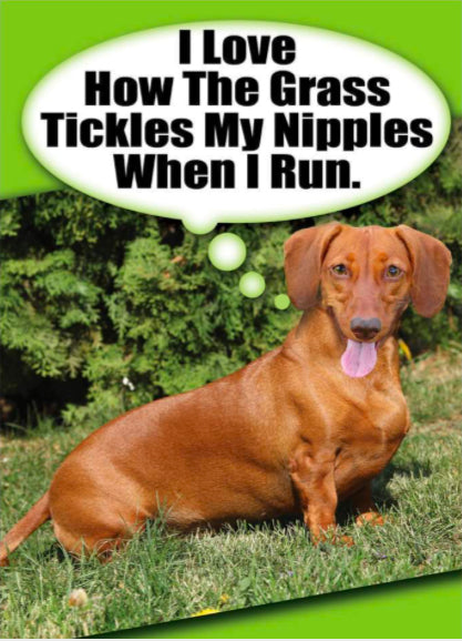 Tits Your Birthday… | Birthday Card