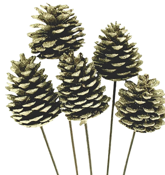 Pinecones on Stem