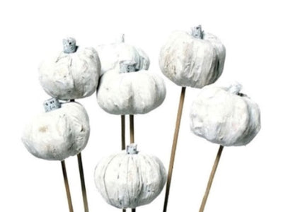 Pumpkins On A Stem