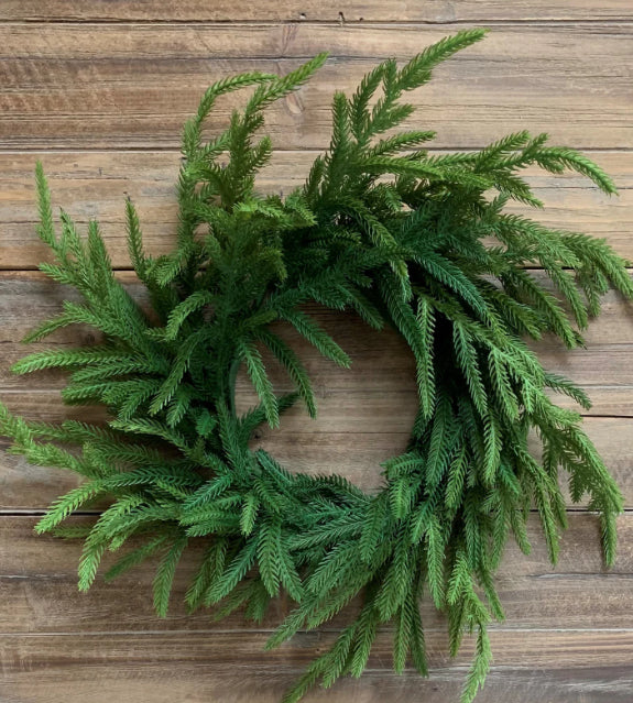 20” Fresh Touch Norfolk Pine Wreath