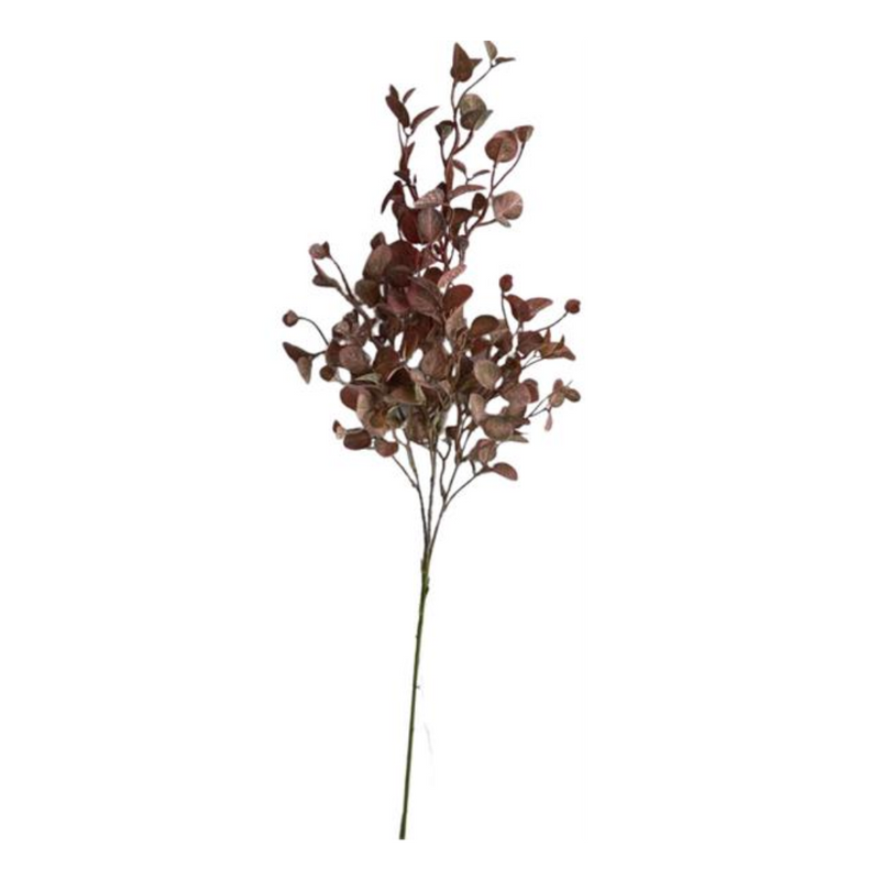 Brown Beech Foliage Spray | 33"