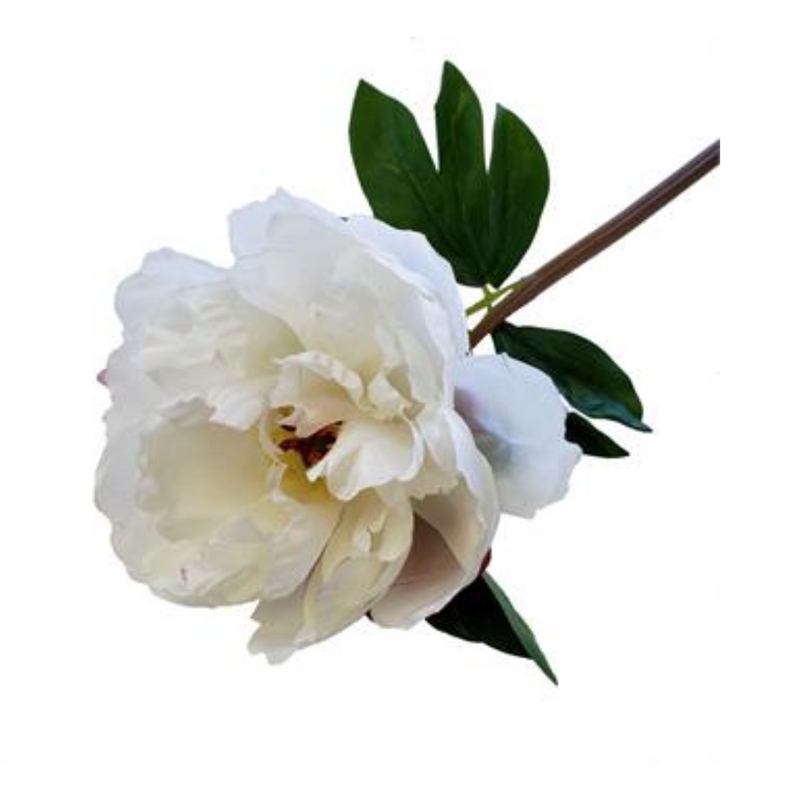 White Peony Short Stem | 20"