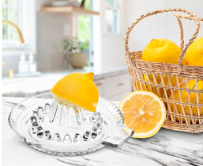 Citrus Reamer With Handle And Spout | 5.5”L