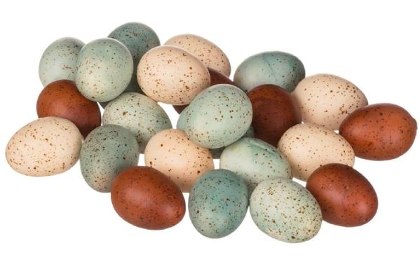 Coloured Eggs