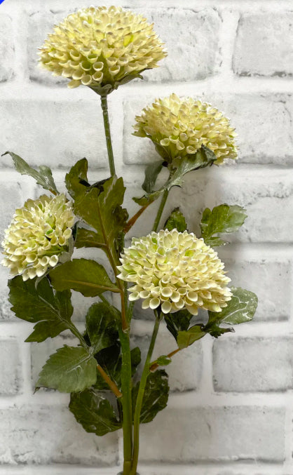 Cream Scabiousa Spray | 26”