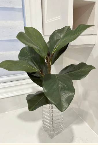 Green Magnolia Spray