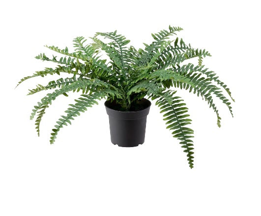 Faux Fern Indoor/Outdoor