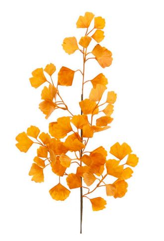 Gingko Spray | Saffron